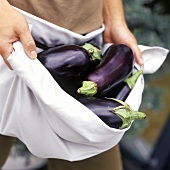 Person Carrying Eggplants