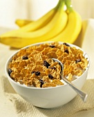 A Bowl of Raisin Bran Cereal with Bananas