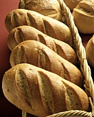 Fresh Baked Bread in Basket