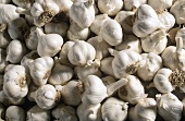 Whole Garlic; Full Frame