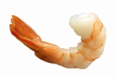 A Single Cocktail Shrimp; Close-Up