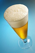 Pilsner Glass of Beer
