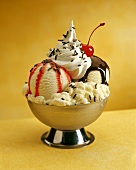 Hot Fudge Sundae with Vanilla Ice Cream, Berry Topping, Sprinkles and a Cherry