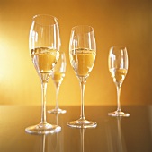 Four champagne glasses against golden background