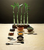 Table Setting with Assorted Spices and Bamboo Shoots