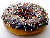 Doughnut with chocolate icing and coloured sugar sprinkles
