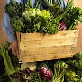 A Person Holding a Crate of Produce