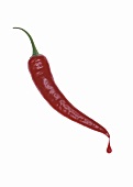 Chili pepper with drops