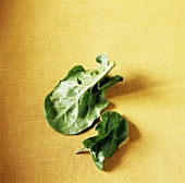 Two spinach leaves