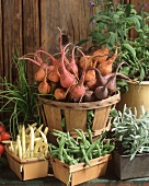 Root Vegetables and Beans in Baskets