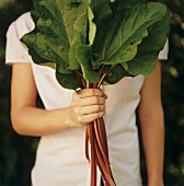 A Woman Holding Rhubarb