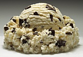 A Single Scoop of Chocolate Chip Ice Cream