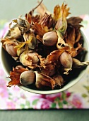 A Bowl of Cob Nuts