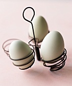 Three Araucana Eggs in a Wire Egg Holder