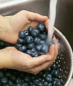 Washing Blueberries