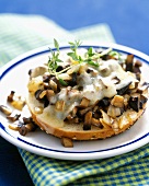 Mushrooms, Onions and Melted Swiss on a Bagel Half