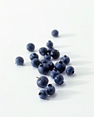 Blueberries on a White Background (Soft Focus)