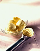 Vanilla ice cream in bowl and ice cream scoop