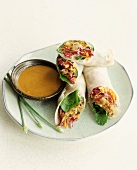 Fresh Vegetable Spring Rolls with Spicy Peanut Dipping Sauce