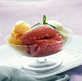 Lemon, mango and raspberry sorbet with mint in glass bowl