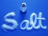 Schriftzug Salz und Salzstreuer