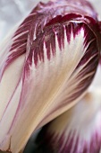 Radicchio (Close Up)