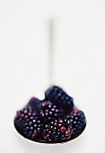 Fresh blackberries in spoon