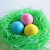 Three coloured Easter eggs in green nest