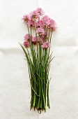 Chives with flowers