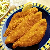 Deep-fried perch fillets with coleslaw and tartare sauce