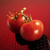 Two ripe tomatoes with drops of water on red background