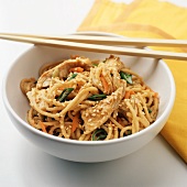 Noodles with Chicken and Vegetables in a Sesame Peanut Sauce