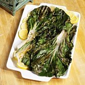 Grilled Bok Choy with Lemons on a Platter