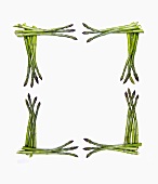 An Asparagus Frame