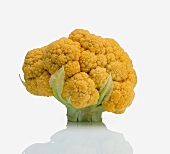 A Head of Orange Cauliflower