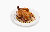 A Cornish Game Hen on a Bed of Rice