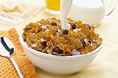 Pouring milk into a bowl of bran flake cereal with raisins
