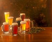 Assorted Types of Beer in Various Glasses