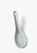 An Asian Soup Spoon