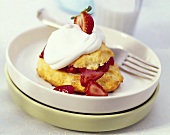 Strawberry Shortcake mit Sahne (USA)