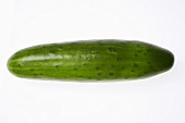 Single cucumber on white background