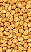 Würzige Erdnüsse