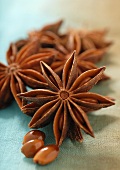 Star Anise with Seeds