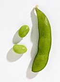 Green soya beans with pod