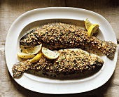 Pecan Crusted Trout