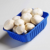 White button mushrooms in blue plastic punnet