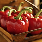 Red Bell Peppers in a Wooden Basket with Dew Drops, Close Up