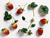 Erdbeeren & Blätter vor weißem Hintergrund