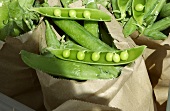 Open Pods of English Peas at Market