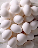 Lots of white eggs, seen from above